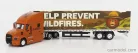 MACK  ANTHEM TRUCK 2019 - HELP PREVENT WILDFIRES SMOKEY BEAR  LIGHT BROWN WHITE