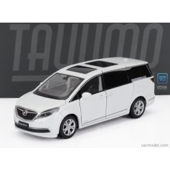 BUICK  GL8 2000  WHITE