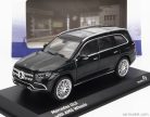 MERCEDES BENZ - GLS-CLASS (X167) AMG 2019