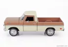 FORD USA  F-100 PICK-UP 1969  LIGHT BROWN CREAM