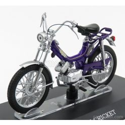 TESTI  CRICKET  PURPLE