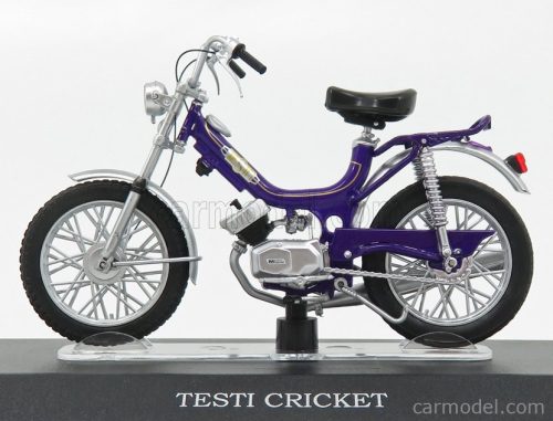 TESTI  CRICKET  PURPLE