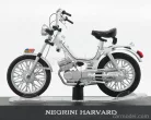 NEGRINI  HARVARD  WHITE