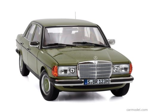 MERCEDES BENZ  E-CLASS 200 (W123) 1976  GREEN