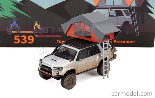 TOYOTA  4RUNNER WIDEBODY WITH ACCESSORIES 2018  SILVER