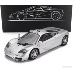 McLAREN  F-1 XP5 1993  SILVER