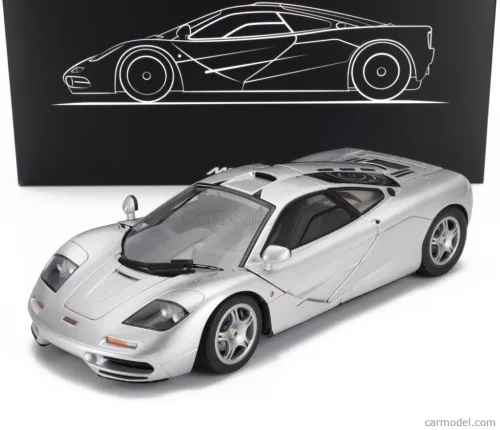 McLAREN  F-1 XP5 1993  SILVER